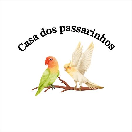 Casa Dos Passarinho'S , 拉哥斯 外观 照片
